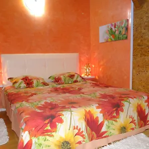 Orange Flower Daire Sofya